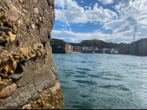 Image of the sea and Harbour Walls at Cullen